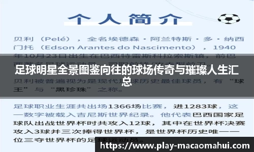 足球明星全景图鉴向往的球场传奇与璀璨人生汇总